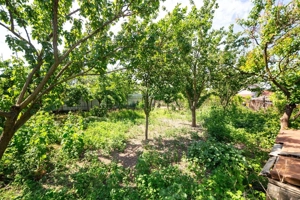 EXCLUSIVITATE   Comision 0% | Casa spatioasa | Santana - Arad - imagine 13