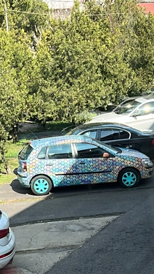 Volkswagen Polo 2008 - vopsit manual - imagine 4