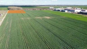 Timisoara Nord - Lot industrial: 4923mp - PUZ - utilitati complete - comision 0% - imagine 2