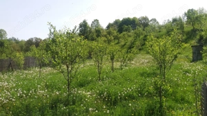 Casă la țară cu livadă, Moșteni Greci, comuna Botesti, jud. Argeș