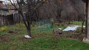 Casa Baicoi caramida 135 mp - imagine 12