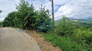 Teren de vanzare in Baia Sprie: 52 Ari, Parcelabil, Comision 0% - imagine 5