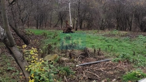 Casa Baicoi caramida 135 mp - imagine 13