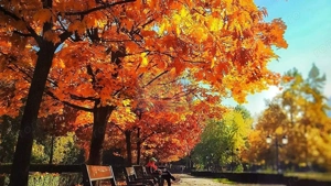 Complex turistic de vânzare, chiar în centrul staţiunii Durău. - imagine 18