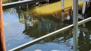 Pensiune cu lac privat și piscină – afacere la cheie în Neamț - imagine 7