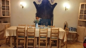 Proprietate Unică în Inima Naturii – Galaoaia, Mureș  - imagine 8