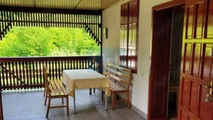 Proprietate Unică în Inima Naturii – Galaoaia, Mureș  - imagine 6