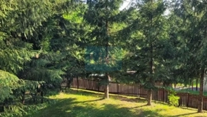 Proprietate Unică în Inima Naturii – Galaoaia, Mureș  - imagine 4