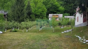 Proprietate Unică în Inima Naturii – Galaoaia, Mureș  - imagine 3