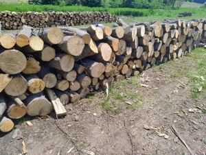 vand lemne de foc esenta tare carpen cu stejar 