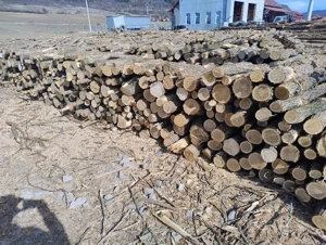 vand lemne de foc esenta tare carpen si salcam 