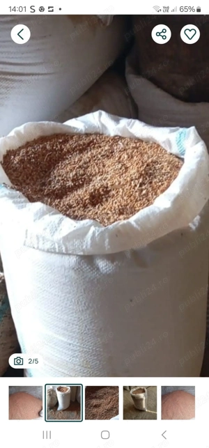 Semințe de mătură