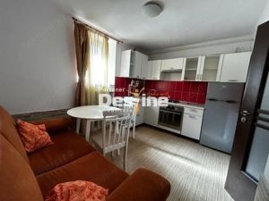 Apartament 1 CD 40 mp mobilat si utilat complet Copou Universitate pet friendly - imagine 3