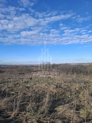 Teren Intravilan de Vânzare – 4300 mp – Cristian, zona Aeroport - imagine 6