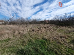 Teren intravilan 2840 mp cu fundatie - Jebel - imagine 10