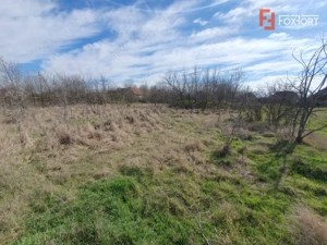 Teren intravilan 2840 mp cu fundatie - Jebel - imagine 11