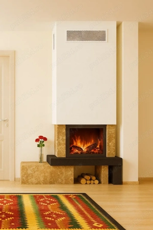 Seminee Pe lemne și coșuri de fum profesionale 