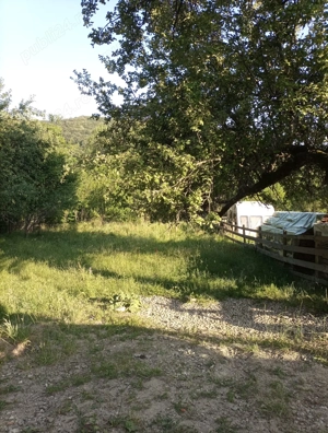 vand teren intravilan Gurguiata , Baile Olanesti - imagine 6