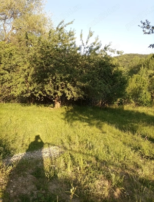 vand teren intravilan Gurguiata , Baile Olanesti - imagine 5