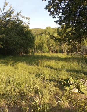 vand teren intravilan Gurguiata , Baile Olanesti - imagine 9