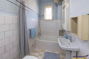 Casa:farmec traditional,gradina,curte,acces auto,pivnita,pod,anexe,Remetea,Targu Mures - imagine 9