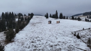 Teren extravilan de vanzare in Bucovina Breaza zona Paraul Negrei - imagine 2