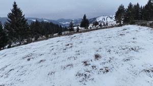 Teren extravilan de vanzare in Bucovina Breaza zona Paraul Negrei - imagine 7