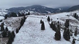 Teren extravilan de vanzare in Bucovina Breaza zona Paraul Negrei - imagine 9
