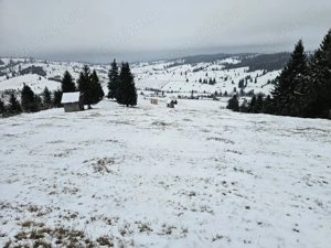 Teren extravilan de vanzare in Bucovina Breaza zona Paraul Negrei - imagine 10