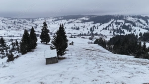 Teren extravilan de vanzare in Bucovina Breaza zona Paraul Negrei - imagine 5