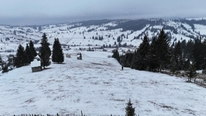 Teren extravilan de vanzare in Bucovina Breaza zona Paraul Negrei - imagine 3