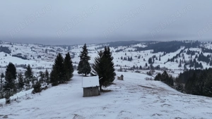 Teren extravilan de vanzare in Bucovina Breaza zona Paraul Negrei - imagine 8