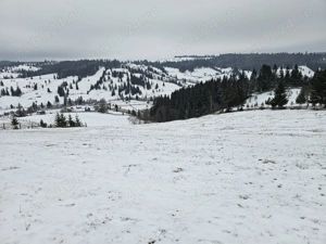 Teren extravilan de vanzare in Bucovina Breaza zona Paraul Negrei - imagine 11