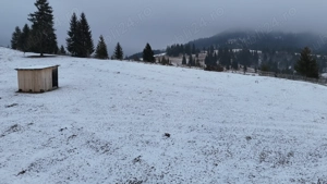 Teren extravilan de vanzare in Bucovina Breaza zona Paraul Negrei - imagine 4