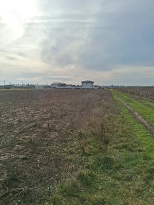 Vând teren intravilan construibil Crevedia-Darza STEJARULUI - imagine 6