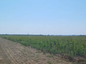 TEREN Nibiru Costinești pe partea cu marea  - imagine 7