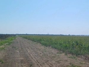 TEREN Nibiru Costinești pe partea cu marea  - imagine 8