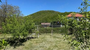 Teren Intravilan in mijlocul satului Magura-Toplita - imagine 6