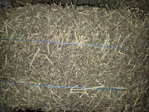 Vand baloti dreptunghiulari .