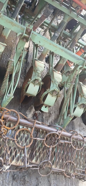 semanatoare paioase pe discuri  - imagine 4