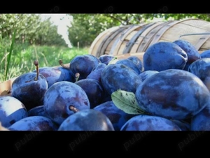 Vand țuică Mere ,Prune 