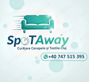 Curățare Canapele și Saltele la Domiciliu în Cluj -Napoca