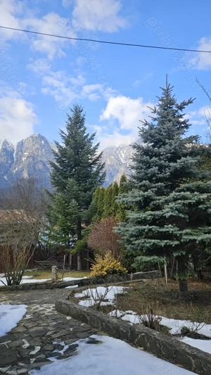 Casă cochetă de vânzare, Zamora Poiana Țapului Bușteni cu panoramă de vis - imagine 3