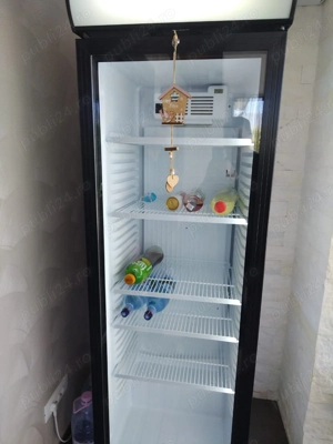 reparati frigidere in alexandria