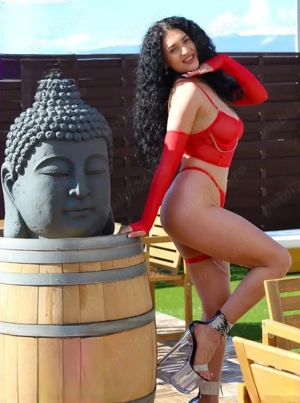 reala 100% confirmare,PARTY,show web