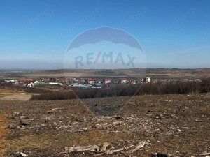 Teren de vânzare – Paleu, județul Bihor | 3 parcele a câte 618 mp - imagine 7