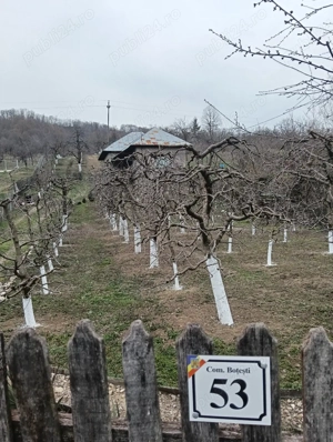 Casa cu teren de vânzare  - imagine 9