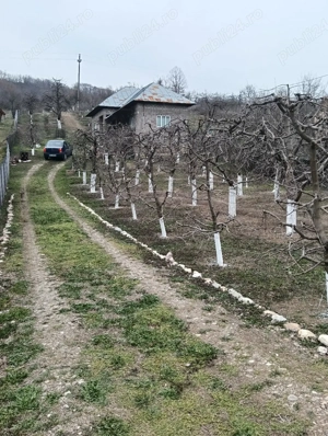Casa cu teren de vânzare  - imagine 10