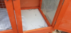 Cusca iepuri și iepurasi - imagine 2