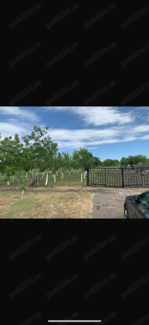 Teren intravilan curti constructii de vanzare